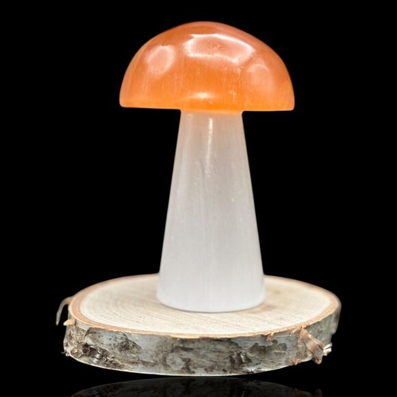 Selenite Crystal Mushroom Light Handcrafted Lamp Healing Glow Organic Home Décor - Picture 6 of 16